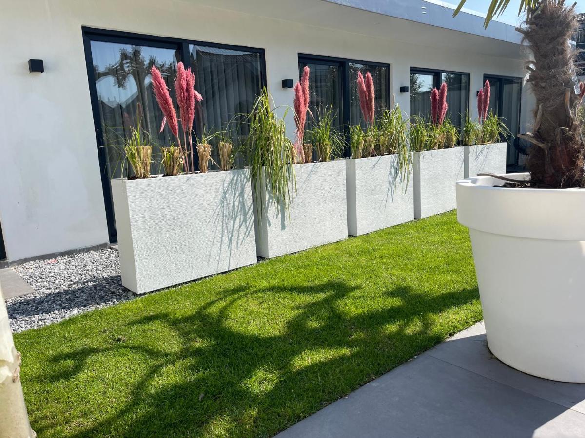 B&B Bubbles&Bites Oostvoorne Extérieur photo